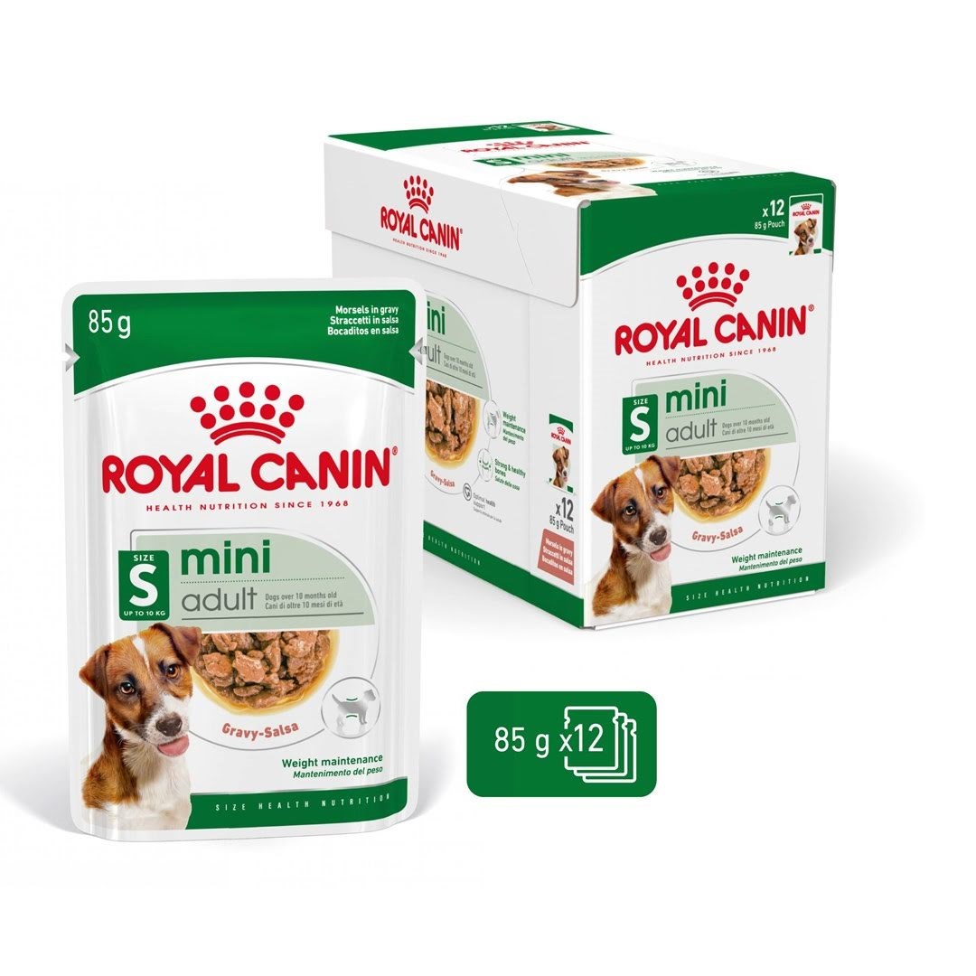 Royal Canin Mini Adult - wet dog food - 12 x 85g Hundeudstyr 9003579008249