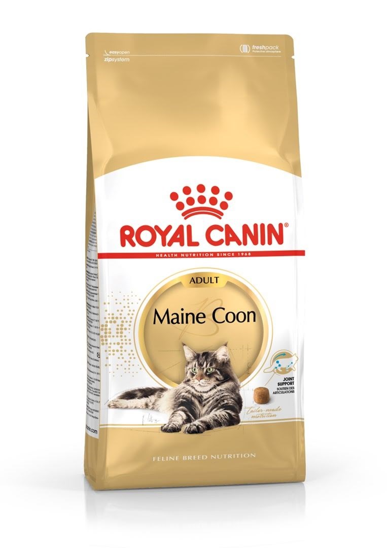 Royal Canin FBN Maine Coon Adult dry cat food - 10kg Katteudstyr 3182550710664