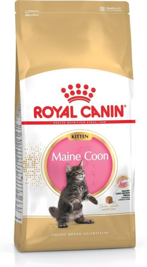 Royal Canin Maine Coon Kitten- dry cat food - 4 kg Katteudstyr 3182550770958