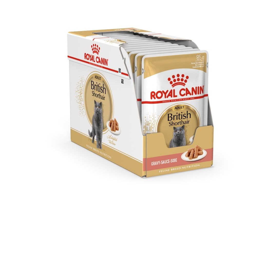 Royal Canin British Shorthair packet 12x85g Katteudstyr 9003579001240