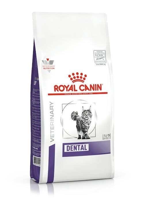 Royal Canin Dental - dry cat food - 1,5kg Katteudstyr 3182550722308