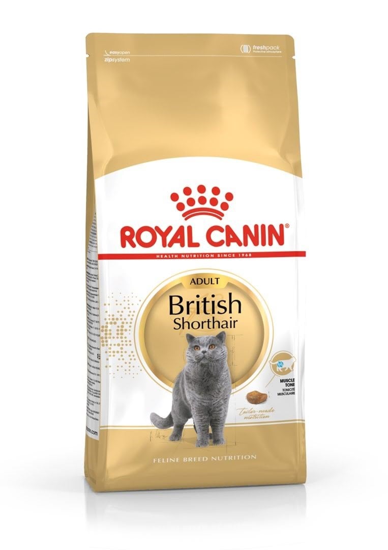 Royal Canin FBN British Shorthair Adult dry cat food - 10 kg Katteudstyr 3182550756464