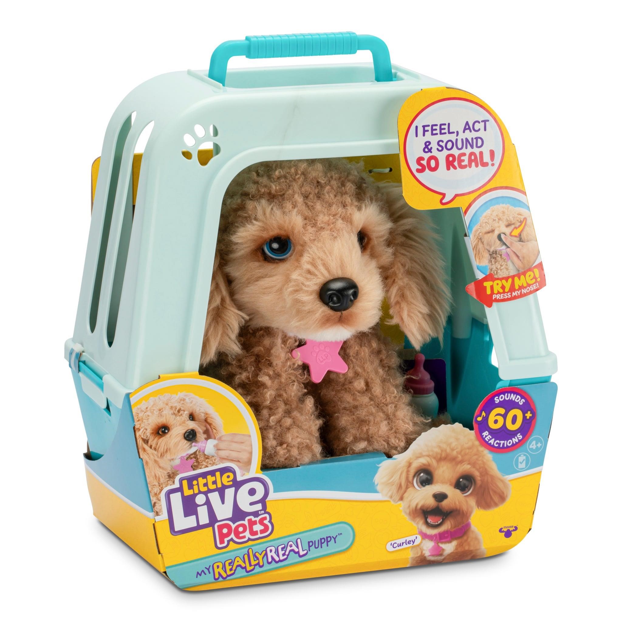 Little Live Pets - My Really Real Puppy - Curley Bamser 26612