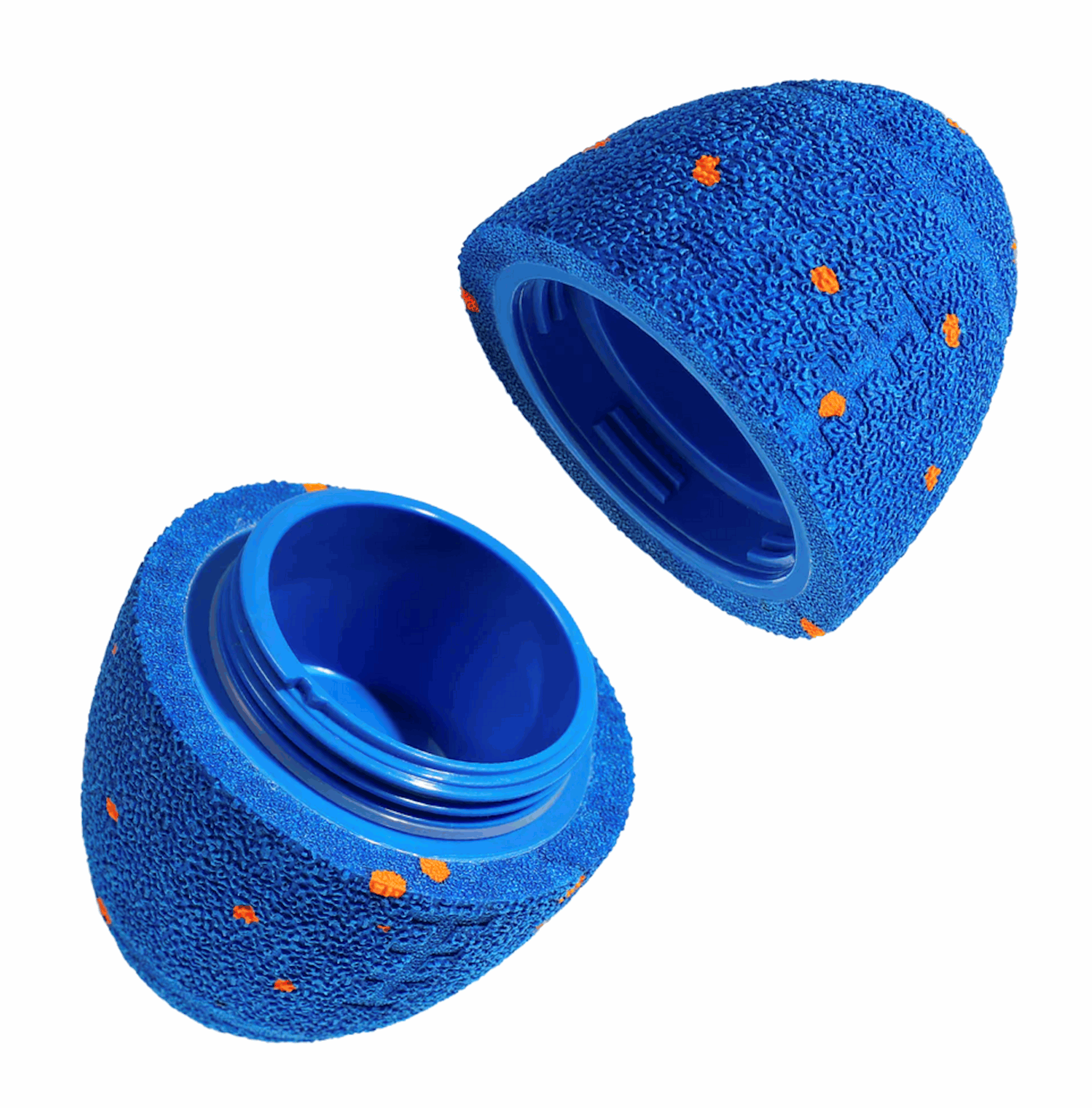 Cheerble WICKED RUGBY SHELL-ROYAL BLUE Hundeudstyr 01UKQ06S01001