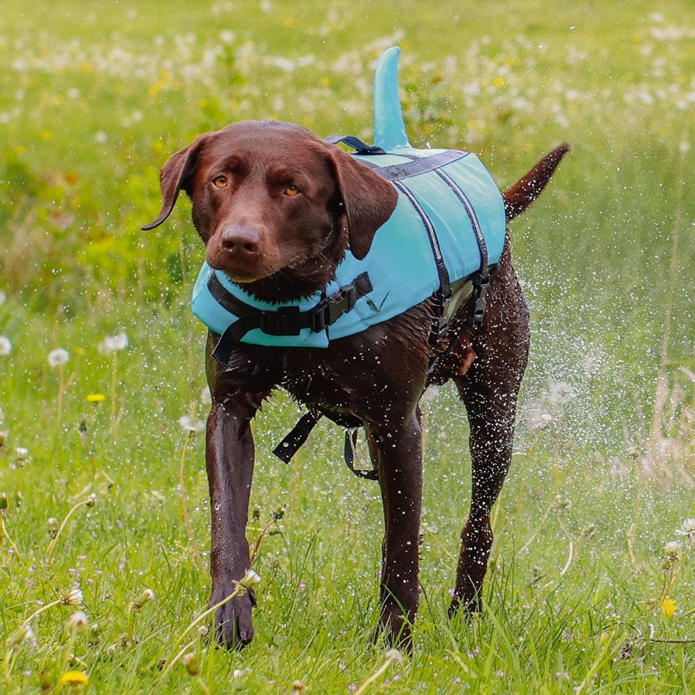 Nobby Redningsvest Sharki Blå XL Hundeudstyr L61034