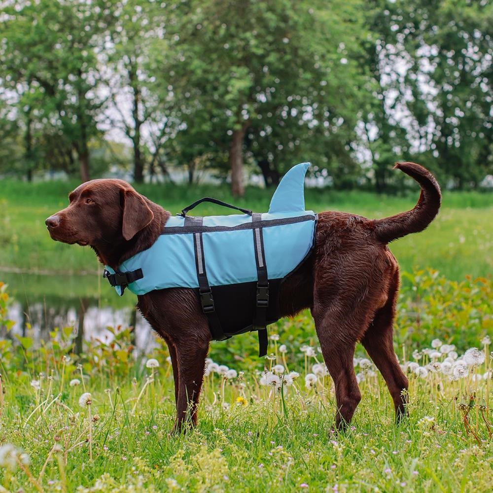Nobby Redningsvest Sharki Blå XS Hundeudstyr L61030