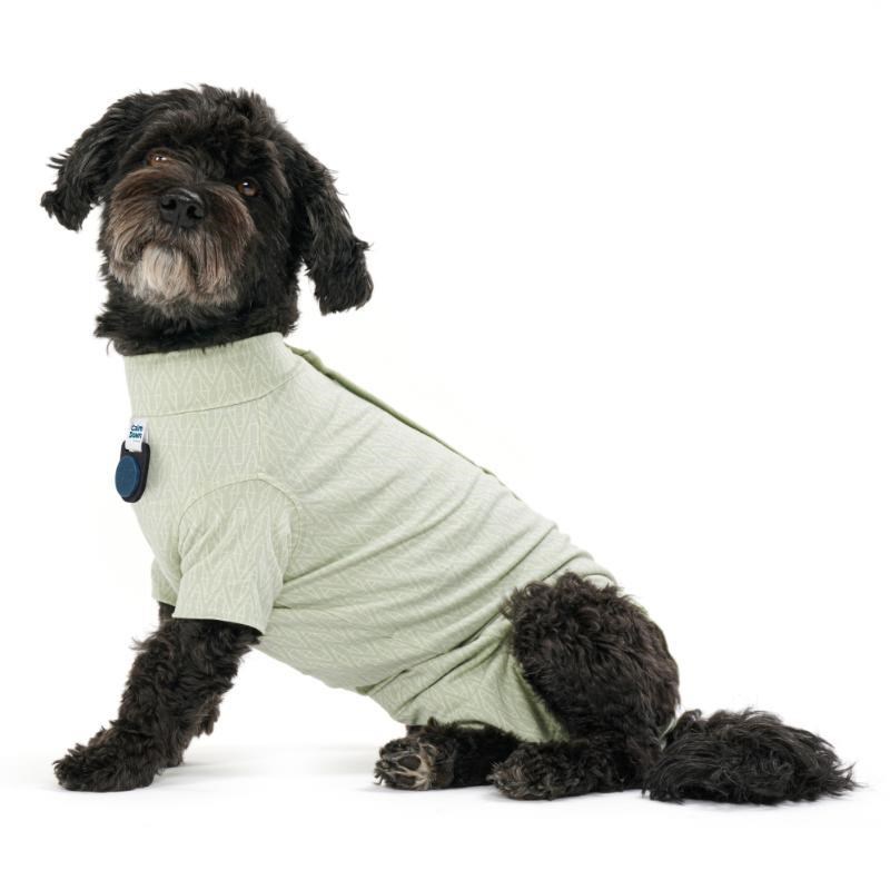 KRUUSE BUSTER Body Suit Step ́n Go til hunde, S, Dusty Gree Hundeudstyr 273741
