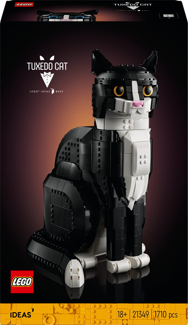 Tofarvet kat