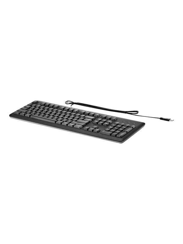 HP USB Keyboard (Ceská) - Tastatur - Tjekkisk