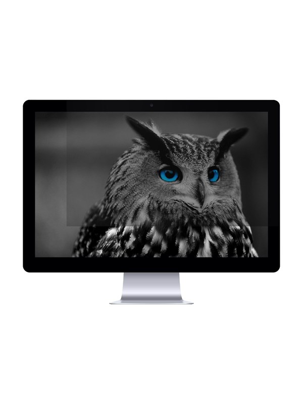 Skærmfilter til privatliv - NATEC Owl, rammefrit, 24" (61 cm)