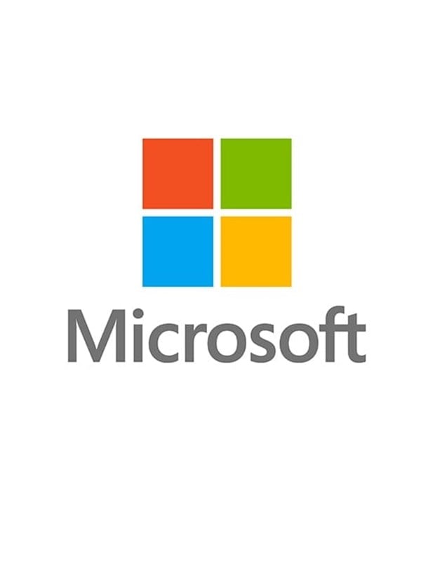 Microsoft Windows Server CAL 2022 Client Access License (CAL) 1 licens(er)