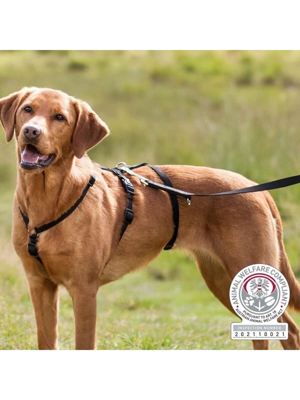 Trixie Panic Harness Stay Escape-Proof Dog Harness L-XL 75-Stomach Circum: 75-100cm