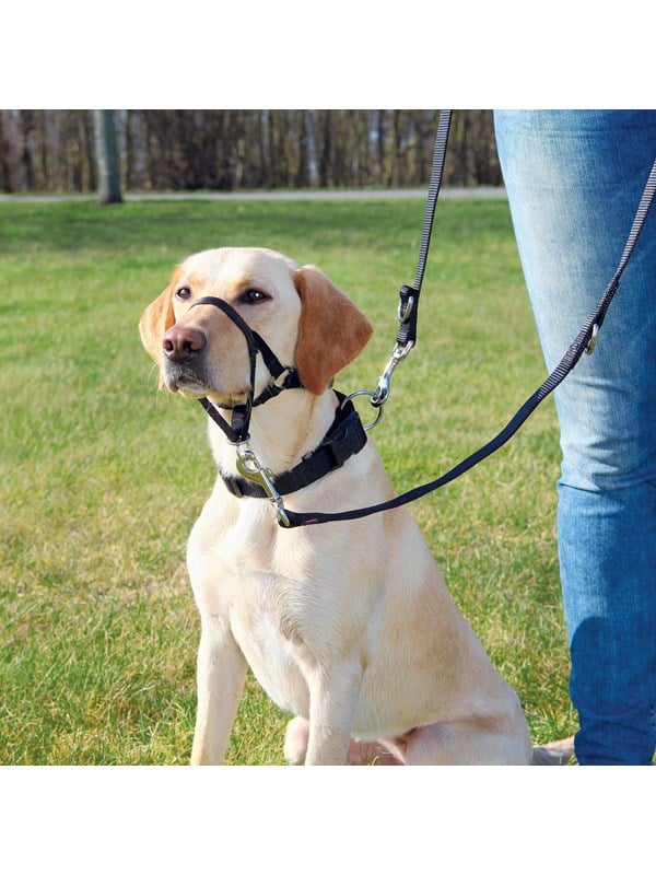 Trixie Top Trainer training harness S black