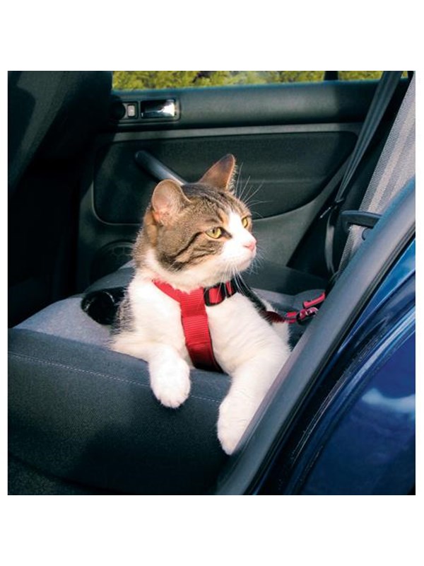 Trixie Car cat harness 20-50 cm/15 mm red
