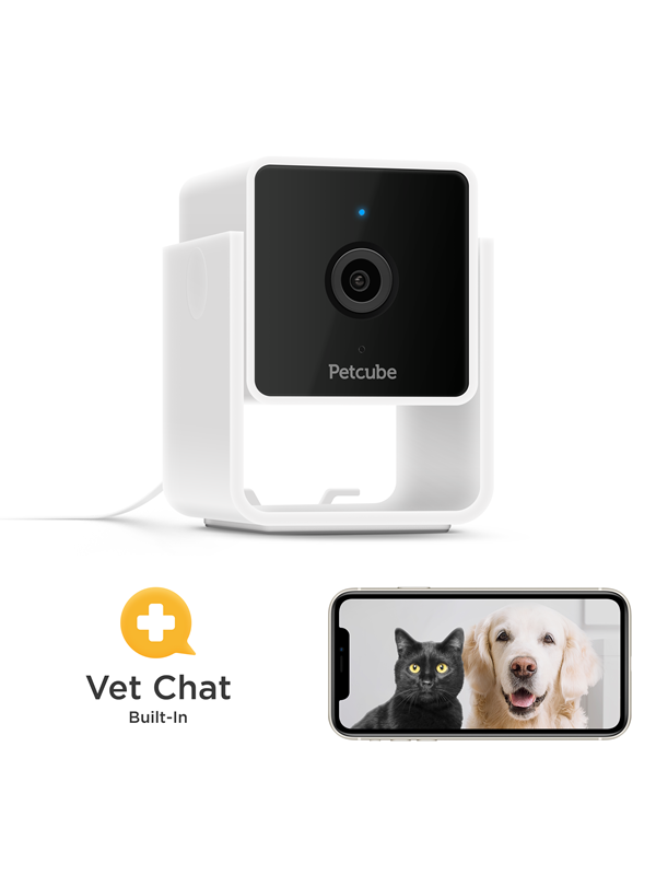 Kæledyrskamera, PetCube
