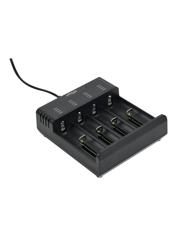 EnerGenie - USB-batterioplader - (for 4xAA/AAA) - 2 A - sort