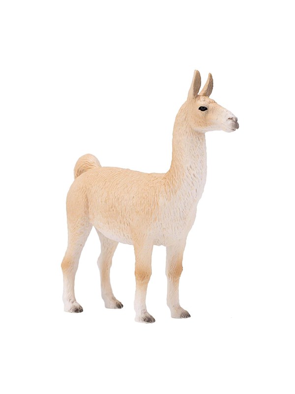 Mojo Lama