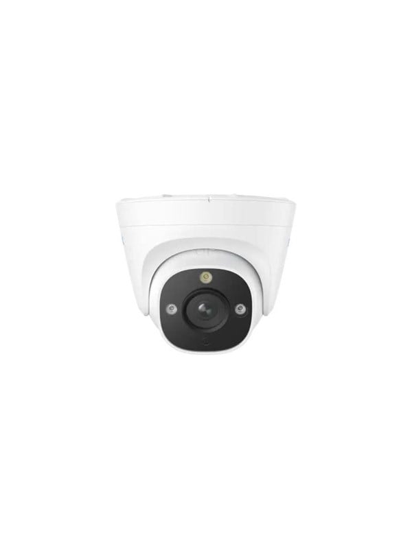 Reolink P334 - Netværksovervågningskamera - kugle - udendørs, indendørs - vejrbestandig - farve (Dag/nat) - 8 MP - 3840 x 2160 - 4K - audio - LAN - H.265 - DC 12 V / PoE