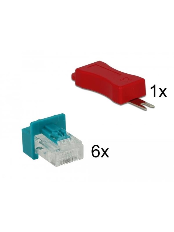DeLOCK RJ45 Secure Clip With Plug Set (6-Pack)