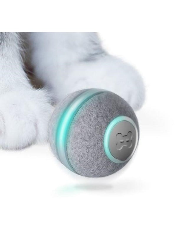 Cheerble BALL M1 - GRAY