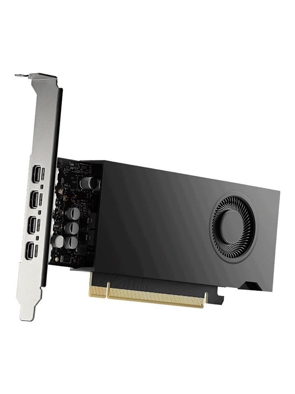 PNY RTX 2000 Ada Small Box - 16GB GDDR6 RAM - Grafikkort billede