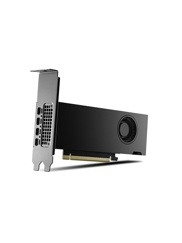 PNY RTX 2000 Ada Power Limited Small Box - 16GB GDDR6 RAM - Grafikkort billede