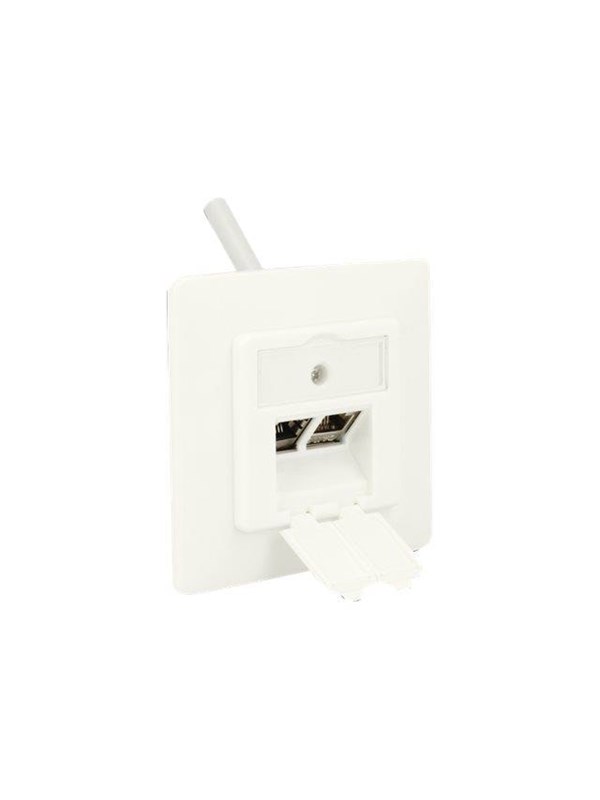 DeLOCK Keystone Wall Outlet - 2 Port Compact