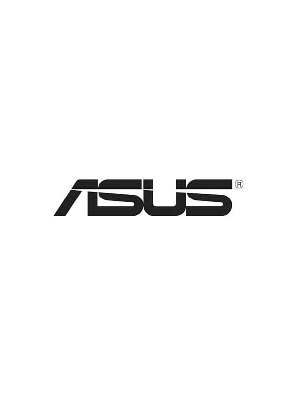 ASUS Netværksadapter 2.5 Gigabit Ethernet