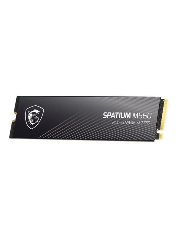 MSI SPATIUM M560