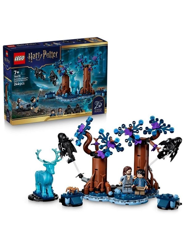 LEGO Harry Potter 76475 Den Forbudte Skov: Expecto Patronum billede