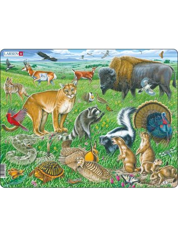 Larsen Puzzles Puzzle American prairie - 53 pieces Maxi (36.5x28.5 cm) 2D Puslespil
