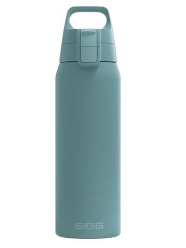 Sigg 6020.80 drinking bottle