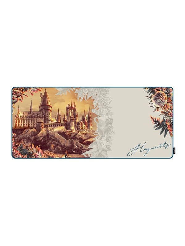 Lexip Warner Bros. mouse pad - flexible soft micro-textured surface - size XXL