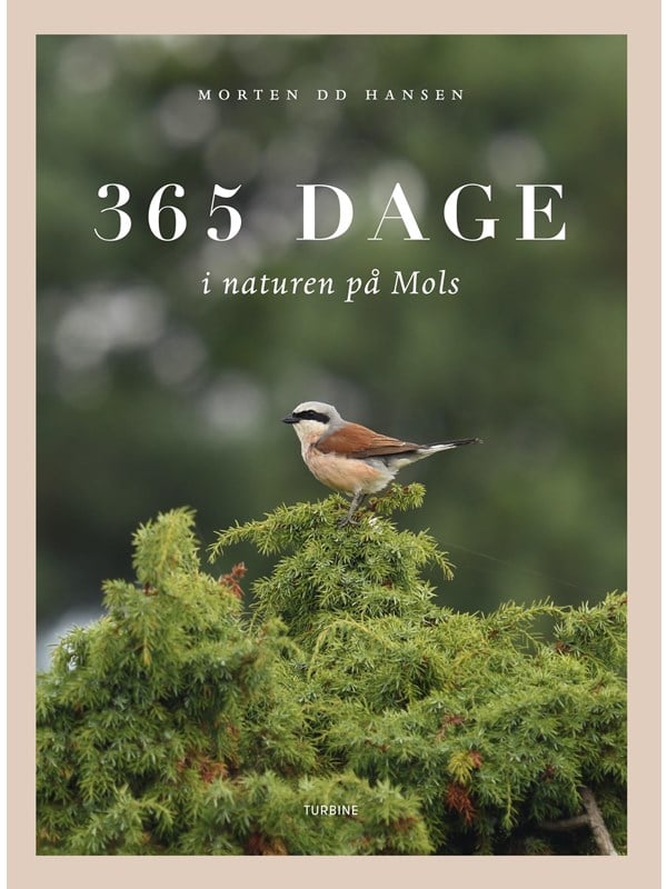 365 dage i naturen på Mols - Natur & Videnskab - Hardcover