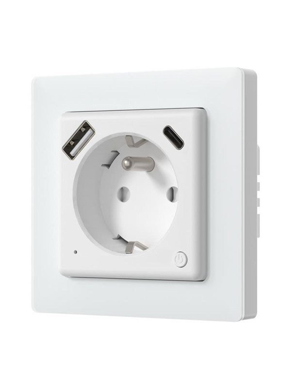 Avatto WOT20-FR Smart Outlet