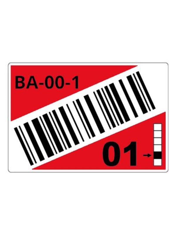 Brother - label roll - 260 label(s) - 90 x 110 mm
