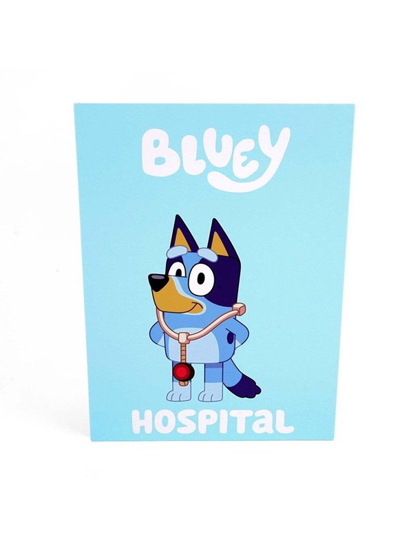 Bluey Rolebook Hospital