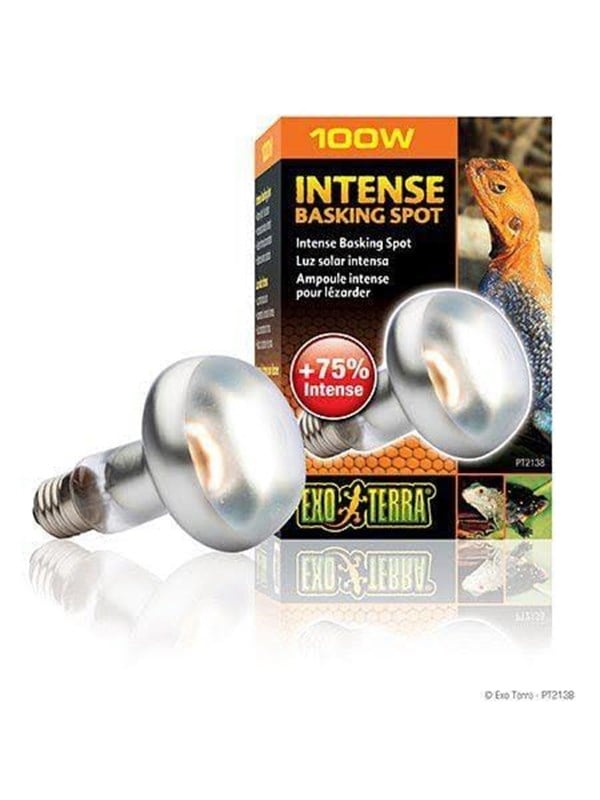 EXO TERRA Sun Glo intense basking spot 100 w m/UVA