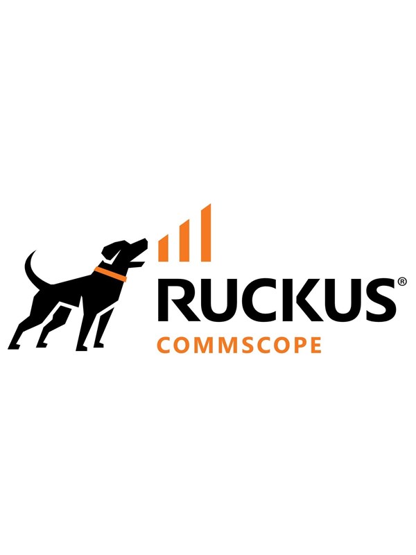 Ruckus Wireless Ruckus Essential Direct Support Remote Support