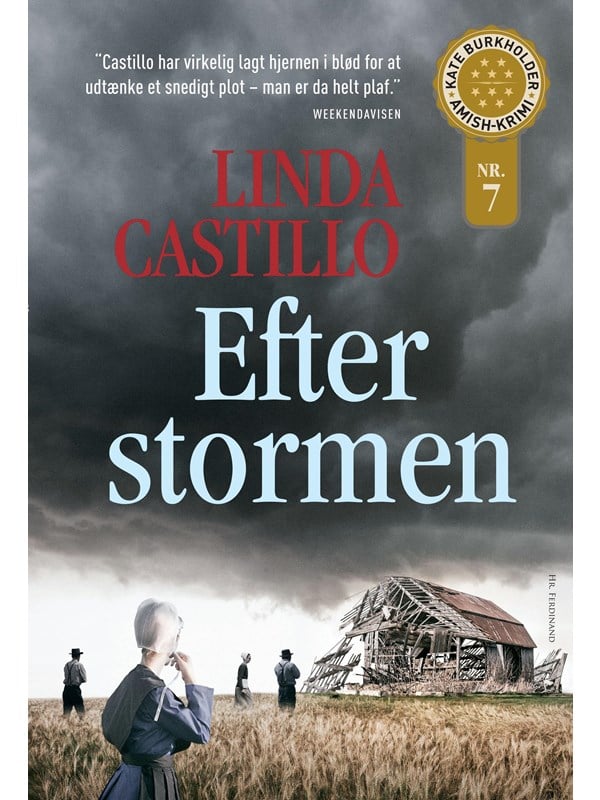 Efter stormen - Krimi & Spænding - paperback