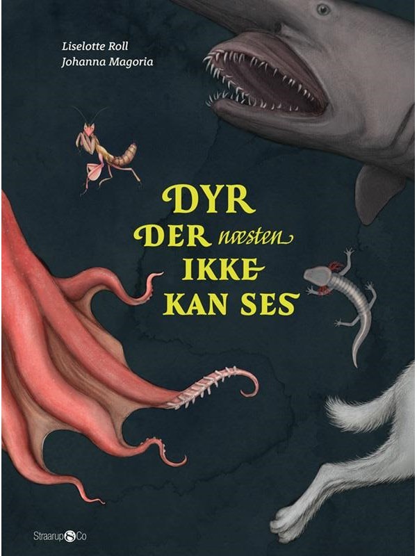 Dyr der næsten ikke kan ses - Børnebog - Hardback