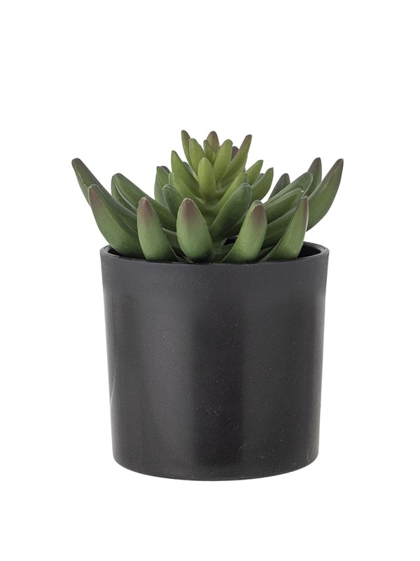 Bloomingville - Echeveria Plante, Grøn, Kunstige Blomster, H14 cm, pot D9xH10 cm