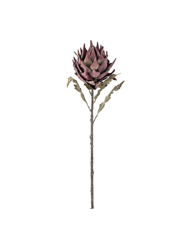Bloomingville - Protea Stilk, Lilla, Kunstige Blomster, D20xH76 cm