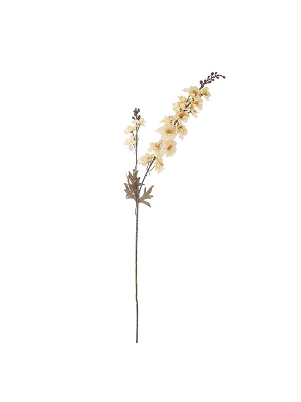 Bloomingville Larkspur billede
