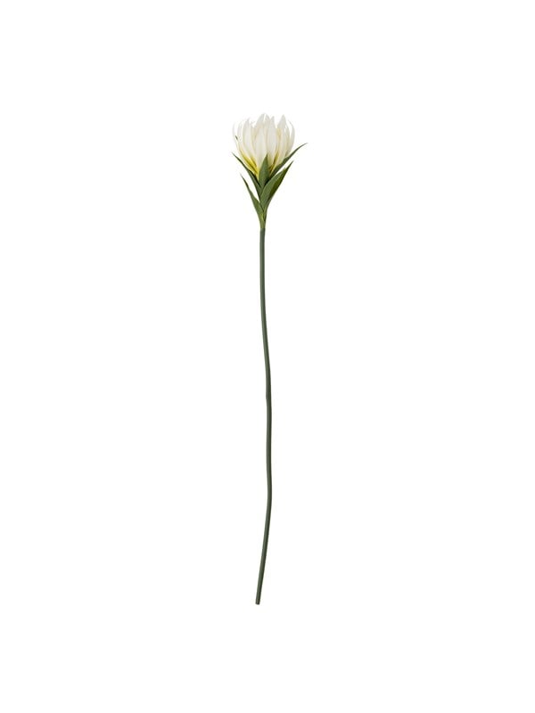 Bloomingville Lily billede