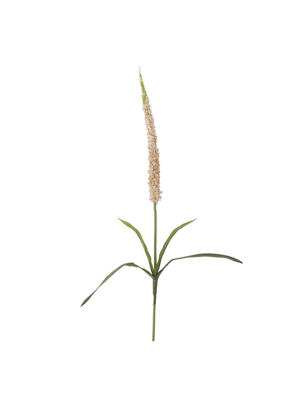 Bloomingville Foxtail billede