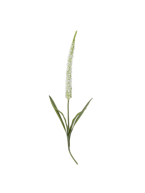 Bloomingville Foxtail billede
