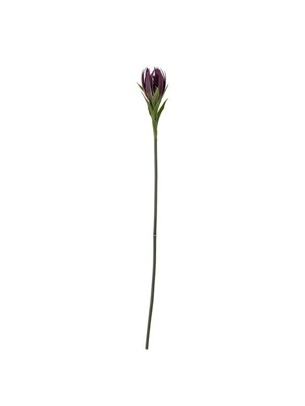 Bloomingville Lily billede