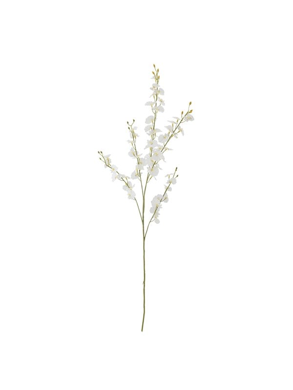 Bloomingville Orchid billede