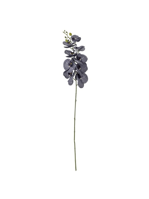 Orkide stilk lilla, kunstig - Bloomingville - H: 105,5 cm